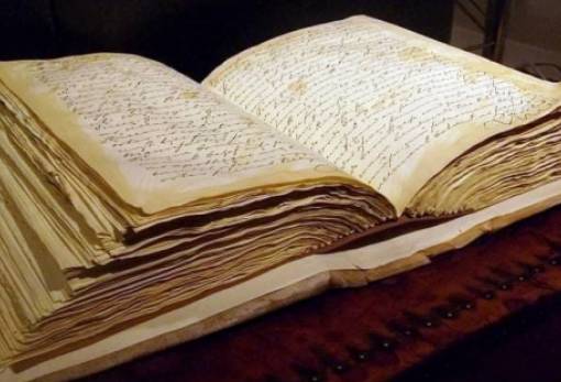 Η γριά της αγριελιάς