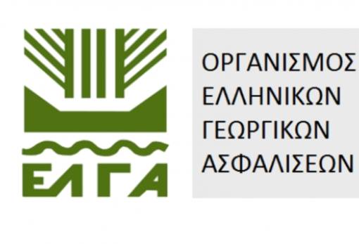 Ανοιχτές οι δηλώσεις ζημιών φυτικού κεφαλαίου από πρόσφατη ανεμοθύελλα στη Μάνη