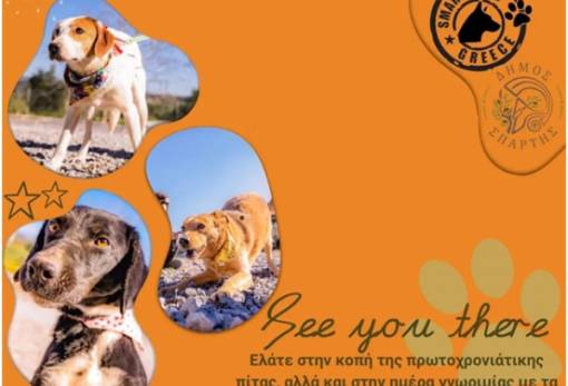 Κοπή βασιλόπιτας παρέα με τα Σπαρτιατάκια