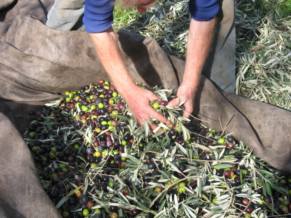 &Mu;&epsilon;&tau;&alpha;&tau;έ&theta;&eta;&kappa;&epsilon; &gamma;&iota;&alpha; &tau;&omicron;&nu; &Mu;ά&iota;&omicron; &tau;&omicron;&upsilon; 2026 &eta; &alpha;&rsquo; &phi;ά&sigma;&eta; &tau;&omicron;&upsilon; &psi;&eta;&phi;&iota;&alpha;&kappa;&omicron;ύ &delta;&epsilon;&lambda;&tau;ί&omicron;&upsilon; &alpha;&pi;&omicron;&sigma;&tau;&omicron;&lambda;ή&sigmaf;