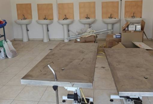 Δημοτικό Κτηνιατρείο αποκτά η Σπάρτη