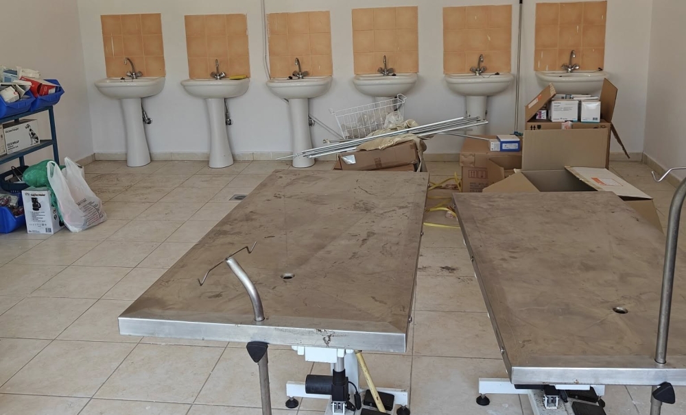 &Delta;&eta;&mu;&omicron;&tau;&iota;&kappa;ό &Kappa;&tau;&eta;&nu;&iota;&alpha;&tau;&rho;&epsilon;ί&omicron; &alpha;&pi;&omicron;&kappa;&tau;ά &eta; &Sigma;&pi;ά&rho;&tau;&eta;