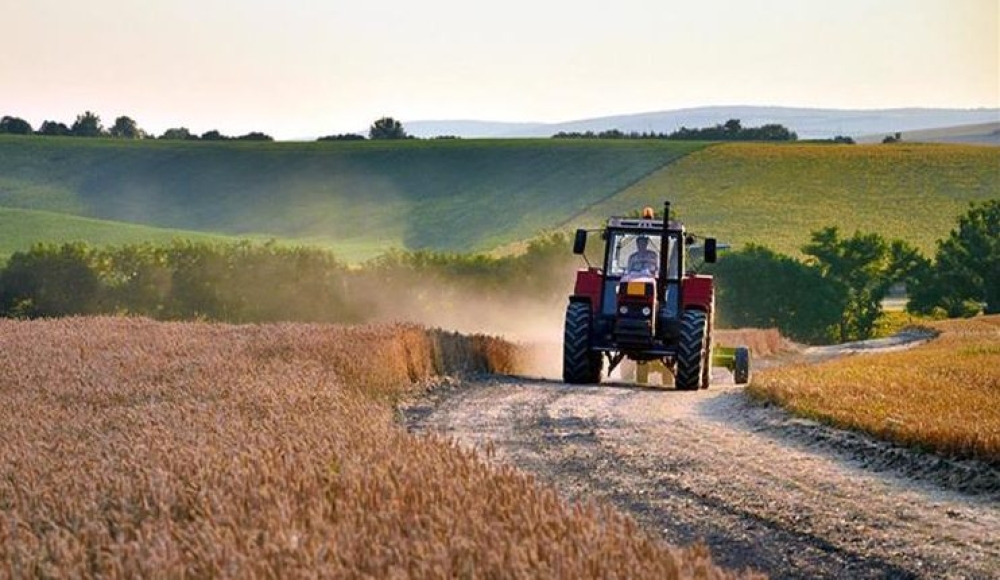 &Alpha;&pi;&alpha;&lambda;&lambda;&alpha;&gamma;ή &alpha;&pi;ό &tau;&eta;&nu; &upsilon;&pi;&omicron;&chi;&rho;έ&omega;&sigma;&eta; &tau;&eta;&sigmaf; &alpha;&gamma;&rho;&alpha;&nu;ά&pi;&alpha;&upsilon;&sigma;&eta;&sigmaf;