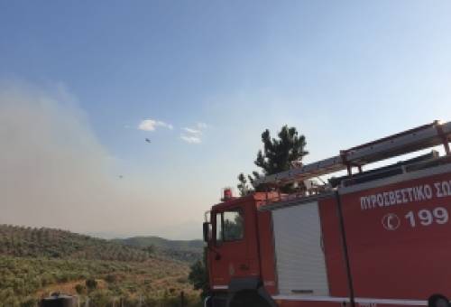 Σε ύφεση η φωτιά στο Δαφνί