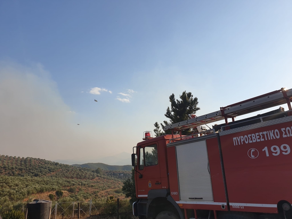 &Sigma;&epsilon; ύ&phi;&epsilon;&sigma;&eta; &eta; &phi;&omega;&tau;&iota;ά &sigma;&tau;&omicron; &Delta;&alpha;&phi;&nu;ί
