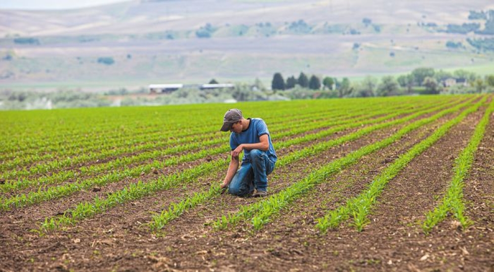 Έ&omega;&sigmaf; &tau;&iota;&sigmaf; 25 &Phi;&epsilon;&beta;&rho;&omicron;&upsilon;&alpha;&rho;ί&omicron;&upsilon; &omicron;&iota; &alpha;&iota;&tau;ή&sigma;&epsilon;&iota;&sigmaf; &gamma;&iota;&alpha; &tau;&omicron;&upsilon;&sigmaf; &Nu;έ&omicron;&upsilon;&sigmaf; &Alpha;&gamma;&rho;ό&tau;&epsilon;&sigmaf;
