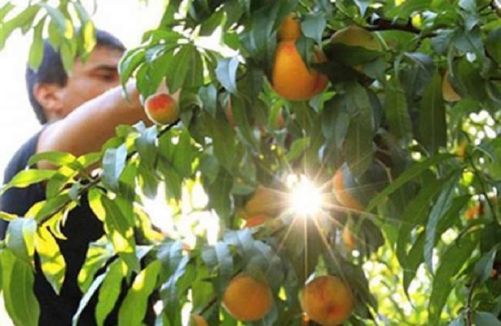 60 &epsilon;&kappa;&alpha;&tau;. &epsilon;&upsilon;&rho;ώ &sigma;&tau;&omicron; &pi;&rho;ό&gamma;&rho;&alpha;&mu;&mu;&alpha; &Kappa;&Omicron;&Mu;&Phi;&Omicron;&Upsilon;&Zeta;&Iota;&Omicron;