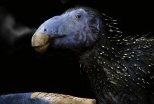 Ανακαλύφθηκε άγνωστο είδος δεινοσαύρου στην Κίνα