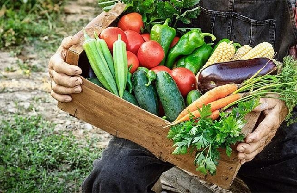 &Sigma;&upsilon;&mu;&pi;&lambda;&eta;&rho;&omega;&mu;&alpha;&tau;&iota;&kappa;ά &mu;έ&tau;&rho;&alpha; &gamma;&iota;&alpha; &tau;&eta;&nu; &epsilon;&phi;&alpha;&rho;&mu;&omicron;&gamma;ή  &tau;&omega;&nu; &epsilon;&pi;&iota;&chi;&epsilon;&iota;&rho;&eta;&sigma;&iota;&alpha;&kappa;ώ&nu; &pi;&rho;&omicron;&gamma;&rho;&alpha;&mu;&mu;ά&tau;&omega;&nu; &sigma;&tau;&alpha; &omicron;&pi;&omega;&rho;&omicron;&kappa;&eta;&pi;&epsilon;&upsilon;&tau;&iota;&kappa;ά