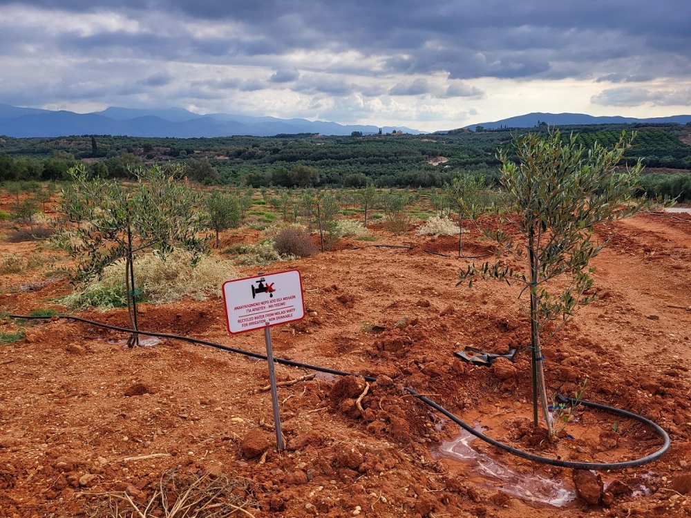 Ά&rho;&delta;&epsilon;&upsilon;&sigma;&eta; &chi;&omega;&rho;&alpha;&phi;&iota;ώ&nu; &mu;έ&sigma;&omega; &tau;&omicron;&upsilon; &Beta;&iota;&omicron;&lambda;&omicron;&gamma;&iota;&kappa;&omicron;ύ &Mu;&omicron;&lambda;ά&omega;&nu;