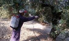 &Tau;&rho;ί&tau;&omicron;&sigmaf; &gamma;ύ&rho;&omicron;&sigmaf; &delta;&alpha;&kappa;&omicron;&kappa;&tau;&omicron;&nu;ί&alpha;&sigmaf; &alpha;&pi;ό &Delta;&epsilon;&upsilon;&tau;έ&rho;&alpha; &sigma;&tau;&iota;&sigmaf; &Kappa;&rho;&omicron;&kappa;&epsilon;έ&sigmaf;
