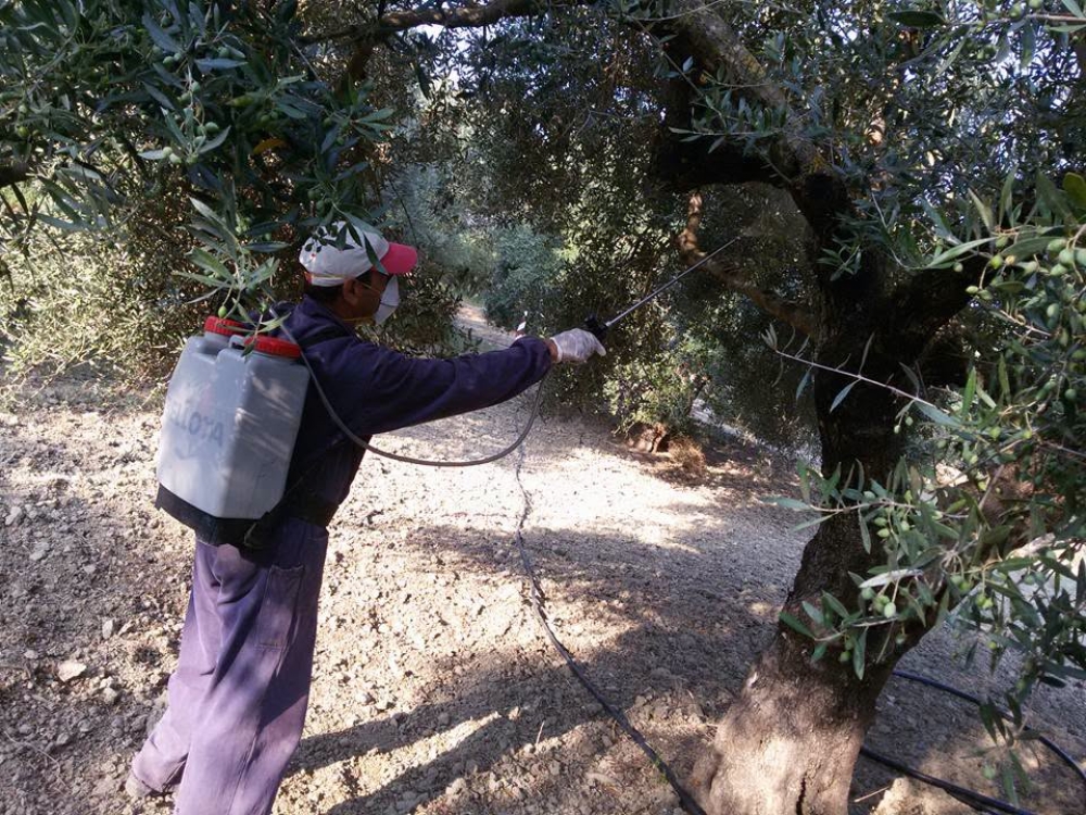&Tau;&rho;ί&tau;&omicron;&sigmaf; &gamma;ύ&rho;&omicron;&sigmaf; &delta;&alpha;&kappa;&omicron;&kappa;&tau;&omicron;&nu;ί&alpha;&sigmaf; &alpha;&pi;ό &Delta;&epsilon;&upsilon;&tau;έ&rho;&alpha; &sigma;&tau;&iota;&sigmaf; &Kappa;&rho;&omicron;&kappa;&epsilon;έ&sigmaf;