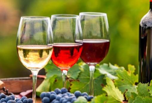 Δράση οινοτουρισμού στην Πελοπόννησο