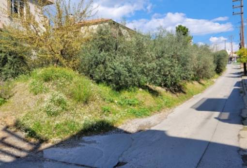 Η ώρα των αποφάσεων στο ΔΣ Σπάρτης για τη στενωπό της Θερμοπυλών