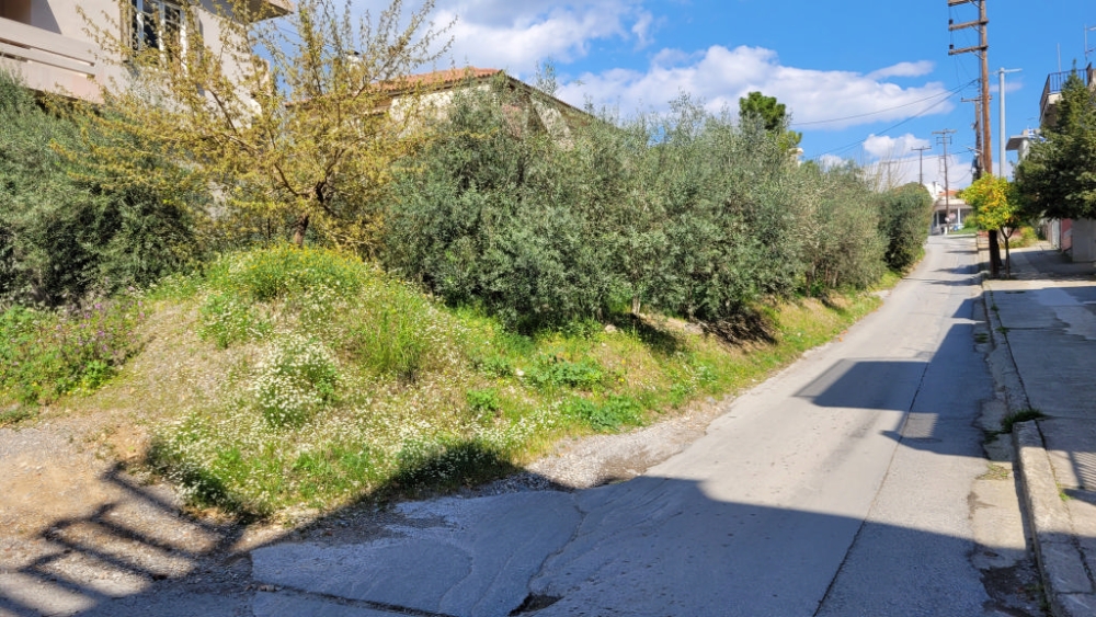 &Eta; ώ&rho;&alpha; &tau;&omega;&nu; &alpha;&pi;&omicron;&phi;ά&sigma;&epsilon;&omega;&nu; &sigma;&tau;&omicron; &Delta;&Sigma; &Sigma;&pi;ά&rho;&tau;&eta;&sigmaf; &gamma;&iota;&alpha; &tau;&eta; &sigma;&tau;&epsilon;&nu;&omega;&pi;ό &tau;&eta;&sigmaf; &Theta;&epsilon;&rho;&mu;&omicron;&pi;&upsilon;&lambda;ώ&nu;