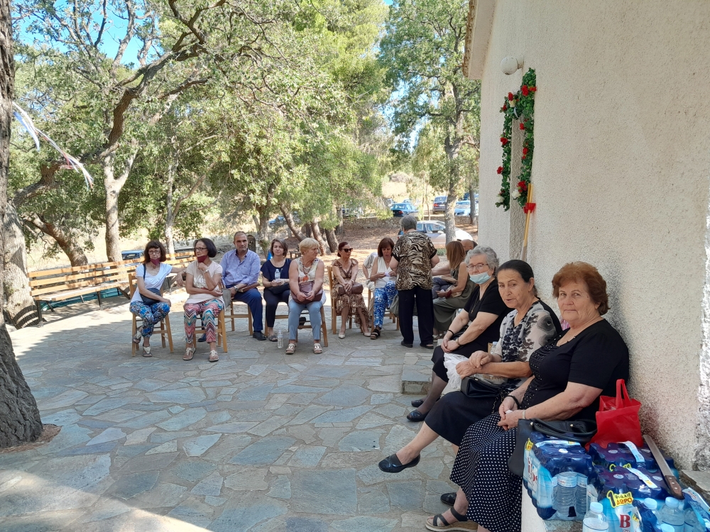 &Gamma;&iota;&alpha; &tau;&eta;&nu; &epsilon;&lambda;&iota;ά &kappa;&alpha;&iota; &tau;&omicron; &lambda;ά&delta;&iota;