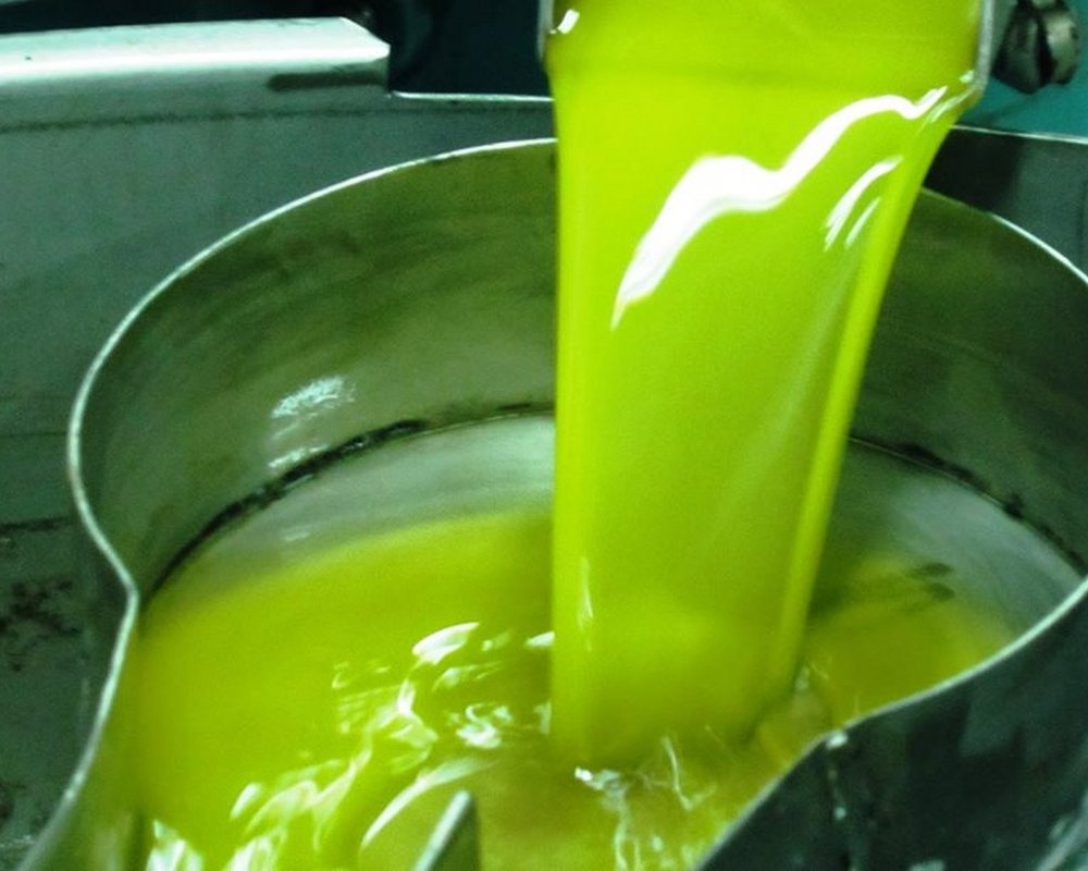 &Sigma;&tau;&iota;&sigmaf; &epsilon;&pi;ά&lambda;&xi;&epsilon;&iota;&sigmaf; &xi;&alpha;&nu;ά &tau;&omicron; &epsilon;&lambda;&alpha;&iota;ό&lambda;&alpha;&delta;&omicron; &sigma;&tau;&eta; &Lambda;&alpha;&kappa;&omega;&nu;ί&alpha;