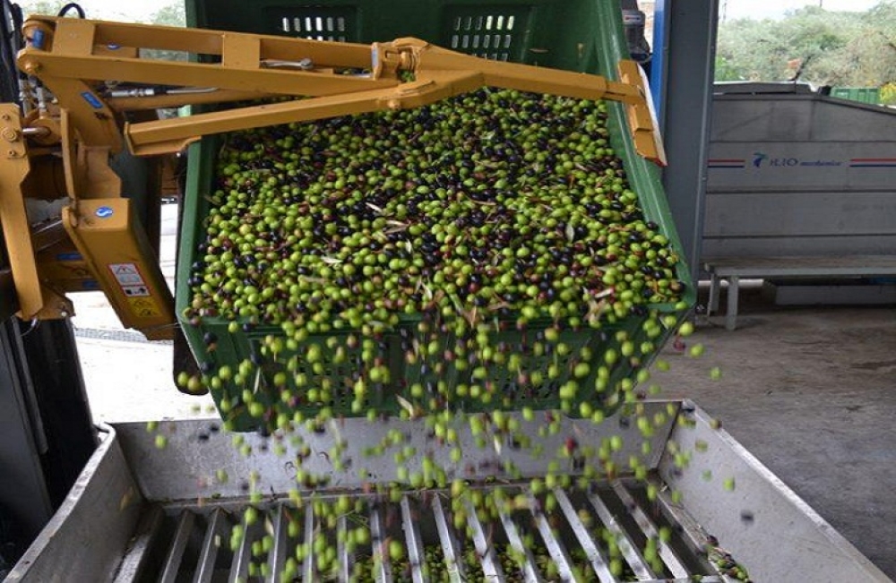 &Lambda;&alpha;&kappa;&omega;&nu;&iota;&kappa;ά &kappa;&epsilon;&phi;ά&lambda;&alpha;&iota;&alpha; &sigma;&epsilon; &Pi;&rho;&omega;&tau;&omicron;&gamma;&epsilon;&nu;ή &Tau;&omicron;&mu;έ&alpha;, &Mu;&epsilon;&tau;&alpha;&pi;&omicron;ί&eta;&sigma;&eta;, &Tau;&omicron;&upsilon;&rho;&iota;&sigma;&mu;ό