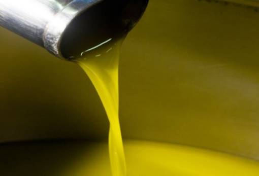 Ξεπέρασε τα 5 ευρώ η τιμή του ελαιολάδου στη Λακωνία