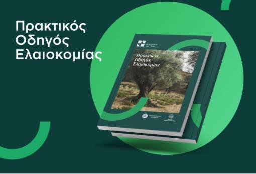 Διαθέσιμος δωρεάν ο «Πρακτικός Οδηγός Ελαιοκομίας»