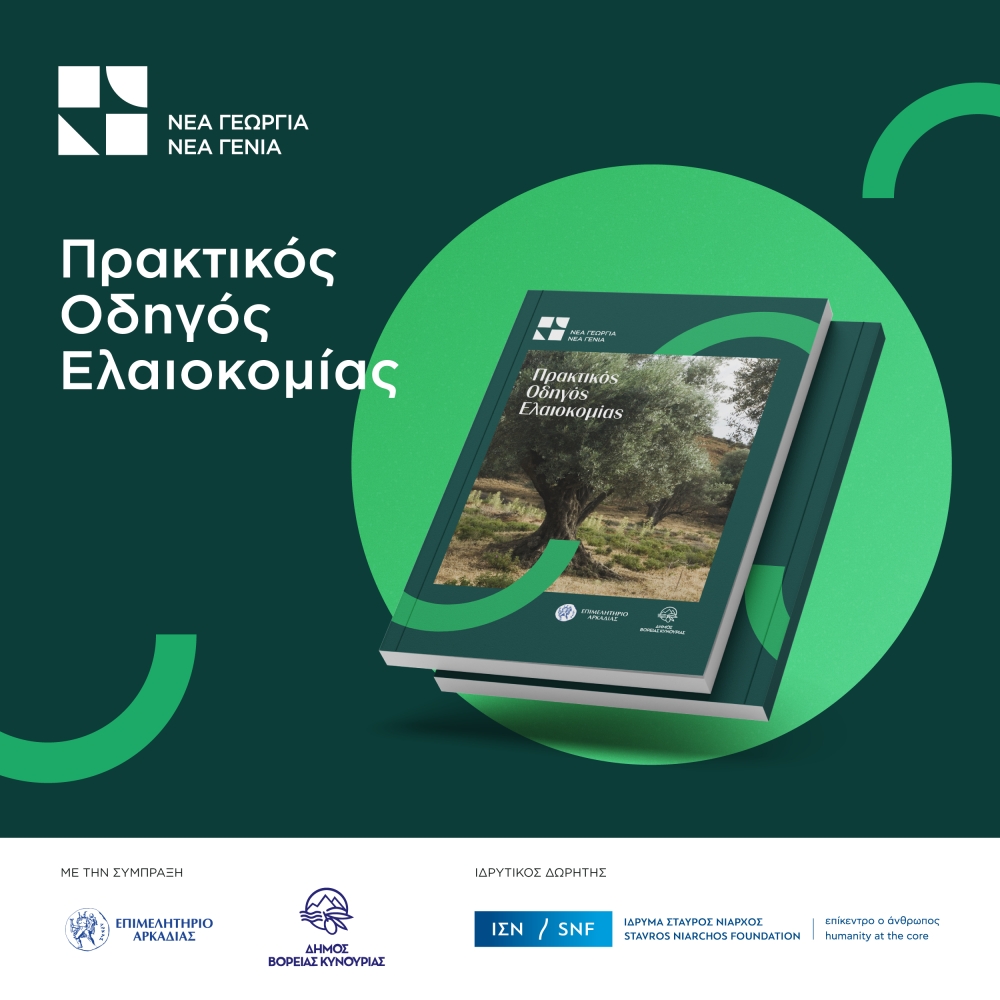 &Delta;&iota;&alpha;&theta;έ&sigma;&iota;&mu;&omicron;&sigmaf; &delta;&omega;&rho;&epsilon;ά&nu; &omicron; &laquo;&Pi;&rho;&alpha;&kappa;&tau;&iota;&kappa;ό&sigmaf; &Omicron;&delta;&eta;&gamma;ό&sigmaf; &Epsilon;&lambda;&alpha;&iota;&omicron;&kappa;&omicron;&mu;ί&alpha;&sigmaf;&raquo;