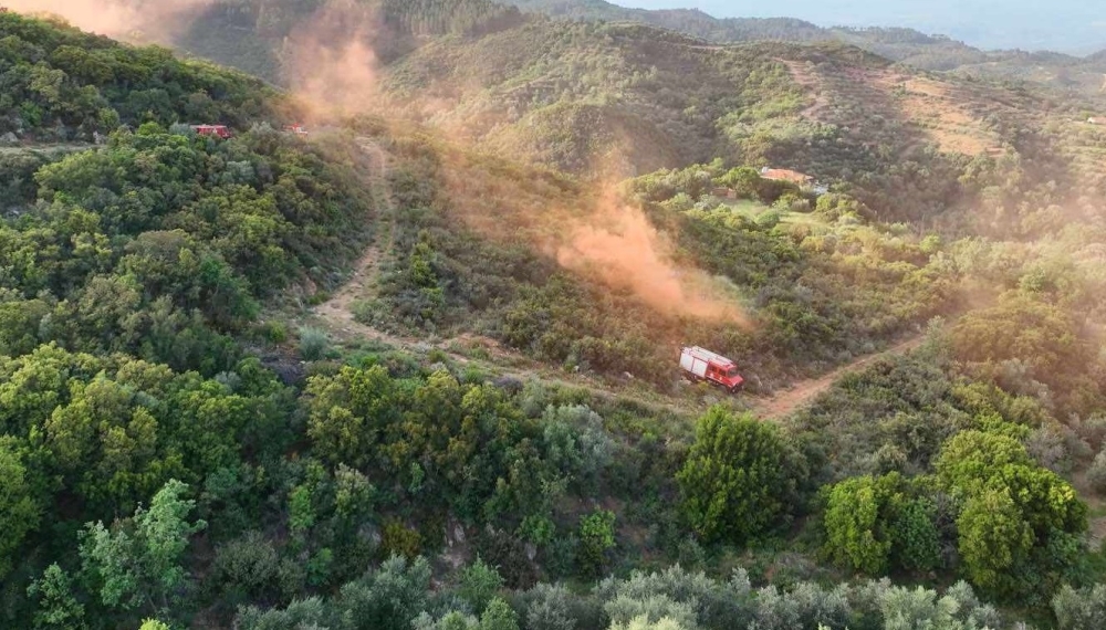 &laquo;&Pi;&upsilon;&rho;&alpha;&nu;&theta;ό&sigmaf;&raquo;: &Lambda;&alpha;&kappa;&omega;&nu;&iota;&kappa;ό &mu;&omicron;&nu;&tau;έ&lambda;&omicron;-&upsilon;&pi;ό&delta;&epsilon;&iota;&gamma;&mu;&alpha; &sigma;&tau;&eta;&nu; &alpha;&nu;&alpha;&chi;&alpha;ί&tau;&iota;&sigma;&eta; &pi;&upsilon;&rho;&kappa;&alpha;&gamma;&iota;ώ&nu;