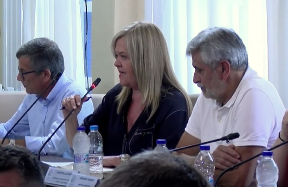 &Tau;&zeta;&alpha;&nu;&epsilon;&tau;έ&alpha; &pi;&rho;&omicron;&sigmaf; &Delta;ή&mu;&alpha;&rho;&chi;&omicron;: &laquo;&Alpha;&nu;&alpha;&lambda;ά&beta;&epsilon;&tau;&epsilon; &epsilon;&pi;&iota;&tau;έ&lambda;&omicron;&upsilon;&sigmaf; &pi;&rho;&omega;&tau;&omicron;&beta;&omicron;&upsilon;&lambda;ί&alpha; &gamma;&iota;&alpha; &tau;&eta;&nu; &Pi;&alpha;&lambda;&alpha;&iota;&omicron;&lambda;ό&gamma;&omicron;&upsilon;&raquo;