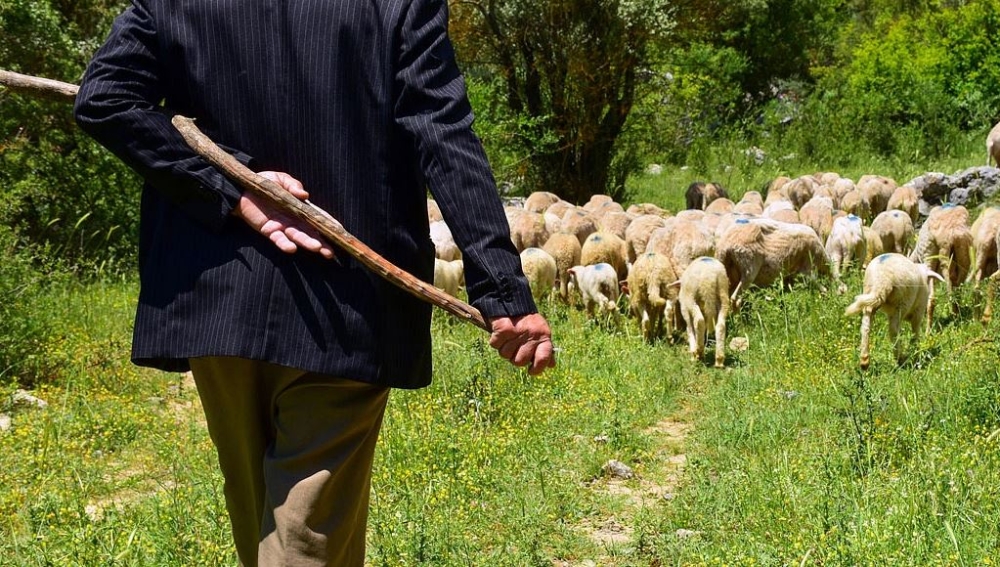 &Pi;&lambda;&eta;&rho;&omega;&mu;έ&sigmaf; &Kappa;&tau;&eta;&nu;&omicron;&tau;&rho;ό&phi;&omega;&nu;: &Tau;&iota; &delta;&iota;&epsilon;&upsilon;&kappa;&rho;&iota;&nu;ί&zeta;&epsilon;&iota; &eta; &Alpha;&Alpha;&Delta;&Epsilon;