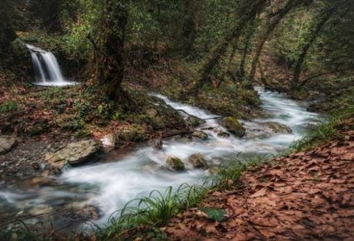 Διεθνής διάκριση για τη Λακωνία: Ο ποταμός Κάστωρ του Καστορίου κερδίζει βραβείο φωτογραφίας