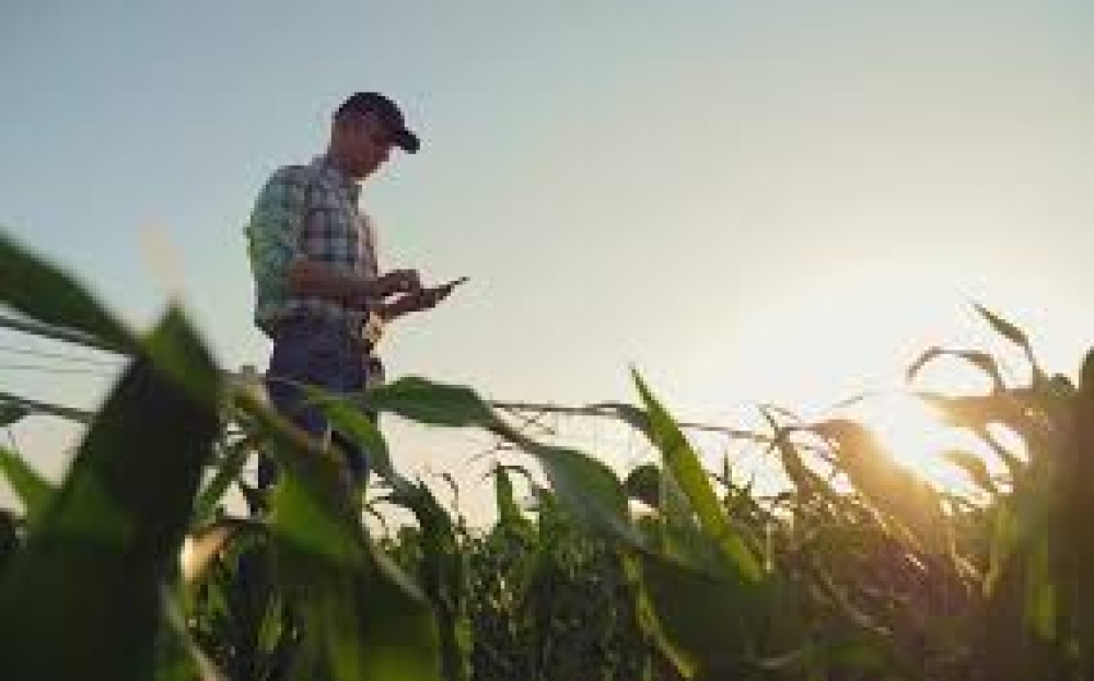 &Sigma;&tau;&alpha; 53 &epsilon;&kappa;. &epsilon;&upsilon;&rho;ώ &tau;&omicron; &pi;&rho;ό&gamma;&rho;&alpha;&mu;&mu;&alpha; &gamma;&iota;&alpha; &Sigma;ύ&sigma;&tau;&alpha;&sigma;&eta; &Omicron;&mu;ά&delta;&omega;&nu; &Pi;&alpha;&rho;&alpha;&gamma;&omega;&gamma;ώ&nu;