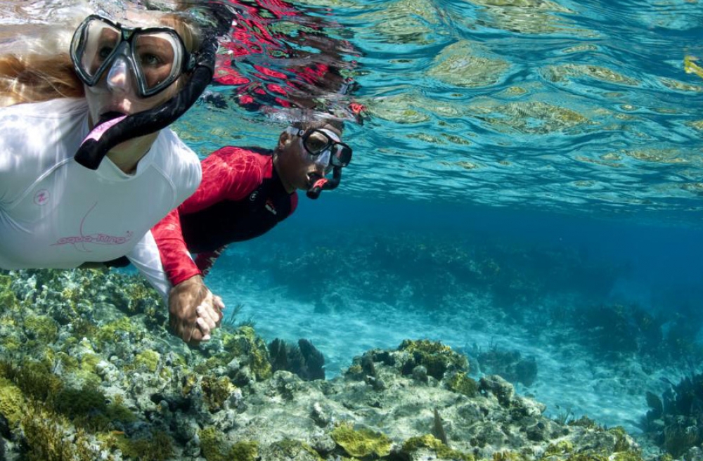 &Theta;&alpha;&lambda;ά&sigma;&sigma;&iota;&alpha; &sigma;&pi;&omicron;&rho; &sigma;&tau;&eta;&nu; &Epsilon;&lambda;&iota;ά &alpha;&pi;ό &tau;&eta; &ldquo;&Beta;&iota;&alpha;&nu;&delta;ί&nu;&eta;&rdquo;