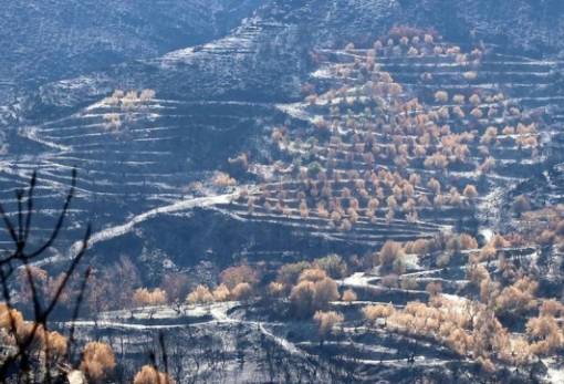 Προς δικαίωση 4 χρόνια μετά οι πυρόπληκτοι της Μάνης