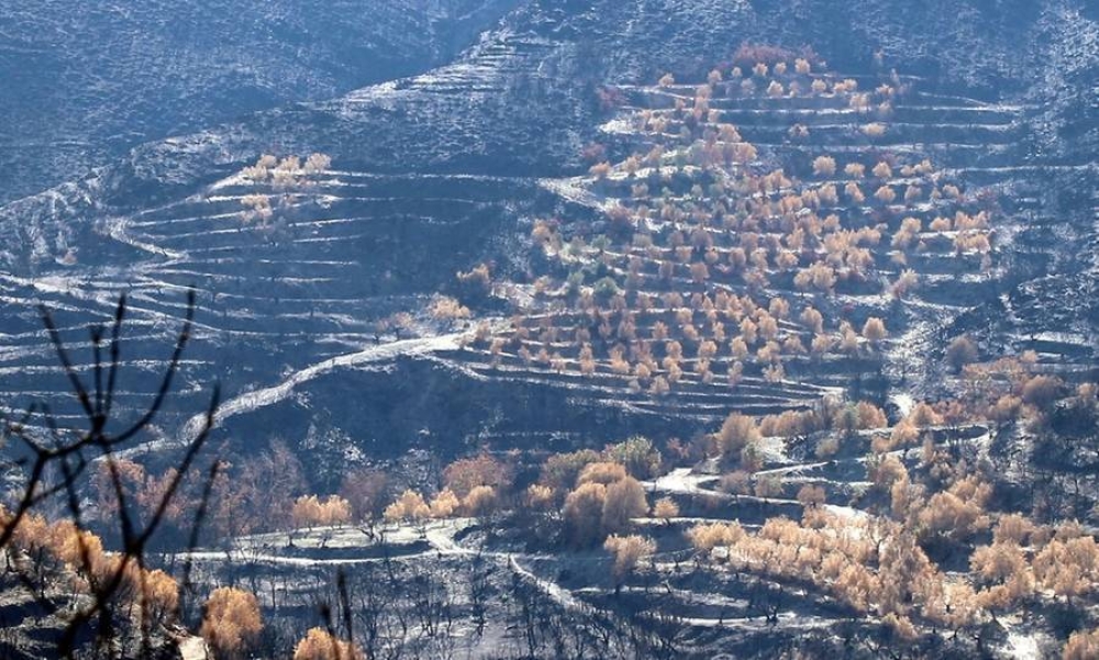 &Pi;&rho;&omicron;&sigmaf; &delta;&iota;&kappa;&alpha;ί&omega;&sigma;&eta; 4 &chi;&rho;ό&nu;&iota;&alpha; &mu;&epsilon;&tau;ά &omicron;&iota; &pi;&upsilon;&rho;ό&pi;&lambda;&eta;&kappa;&tau;&omicron;&iota; &tau;&eta;&sigmaf; &Mu;ά&nu;&eta;&sigmaf;