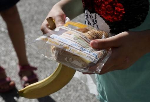 Οκτώ σχολεία της Λακωνίας στο πρόγραμμα «Διατροφή»