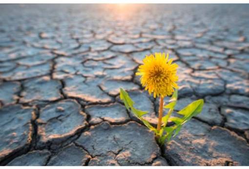 Η κλιματική κρίση προκάλεσε 68.000 θανάτους στην Ευρώπη το καλοκαίρι του 2022