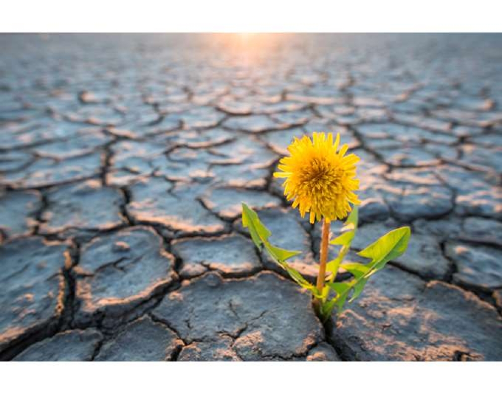 &Eta; &kappa;&lambda;&iota;&mu;&alpha;&tau;&iota;&kappa;ή &kappa;&rho;ί&sigma;&eta; &pi;&rho;&omicron;&kappa;ά&lambda;&epsilon;&sigma;&epsilon; 68.000 &theta;&alpha;&nu;ά&tau;&omicron;&upsilon;&sigmaf; &sigma;&tau;&eta;&nu; &Epsilon;&upsilon;&rho;ώ&pi;&eta; &tau;&omicron; &kappa;&alpha;&lambda;&omicron;&kappa;&alpha;ί&rho;&iota; &tau;&omicron;&upsilon; 2022