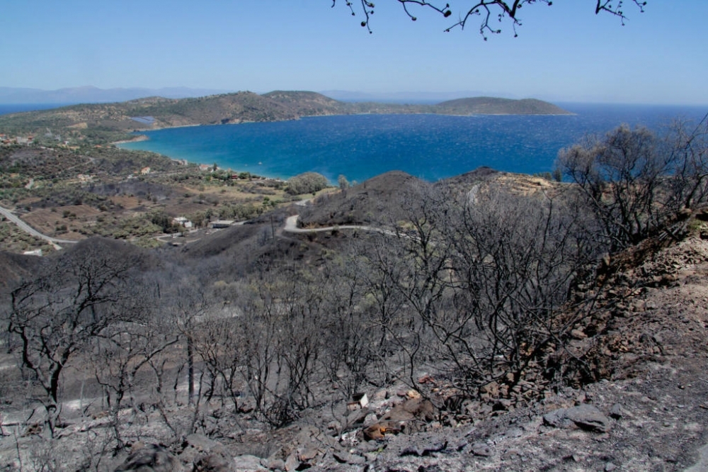 &Epsilon;&kappa;&tau;ό&sigmaf; &epsilon;&theta;&nu;&iota;&kappa;&omicron;ύ &sigma;&chi;&epsilon;&delta;ί&omicron;&upsilon; &alpha;&nu;&alpha;&delta;ά&sigma;&omega;&sigma;&eta;&sigmaf; &eta; &Lambda;&alpha;&kappa;&omega;&nu;ί&alpha;