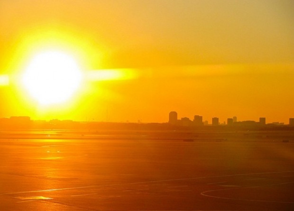 &Pi;&rho;&omega;&tau;&omicron;&phi;&alpha;&nu;&epsilon;ί&sigmaf; &theta;&alpha;&lambda;ά&sigma;&sigma;&iota;&omicron;&iota; &kappa;&alpha;ύ&sigma;&omega;&nu;&epsilon;&sigmaf; &tau;&upsilon;&lambda;ί&gamma;&omicron;&upsilon;&nu; &tau;&eta;&nu; &upsilon;&delta;&rho;ό&gamma;&epsilon;&iota;&omicron;