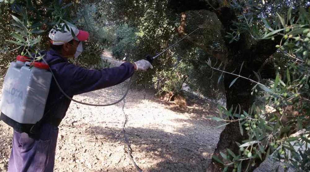 &Psi;&epsilon;&kappa;&alpha;&sigma;&mu;&omicron;ί &delta;&alpha;&kappa;&omicron;&kappa;&tau;&omicron;&nu;ί&alpha;&sigmaf; &alpha;&rho;&chi;ί&zeta;&omicron;&upsilon;&nu; &sigma;&tau;&omicron; &Delta;&alpha;&phi;&nu;ί