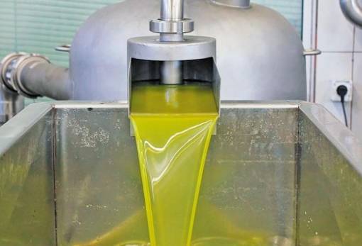 Νέος Σύνδεσμος Εμπορίου Ελληνικού Ελαιόλαδου με ισχυρή συμμετοχή από τη Λακωνία