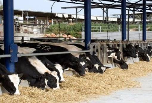 Ψηφιακή μετάβαση για τις κτηνοτροφικές εγκαταστάσεις