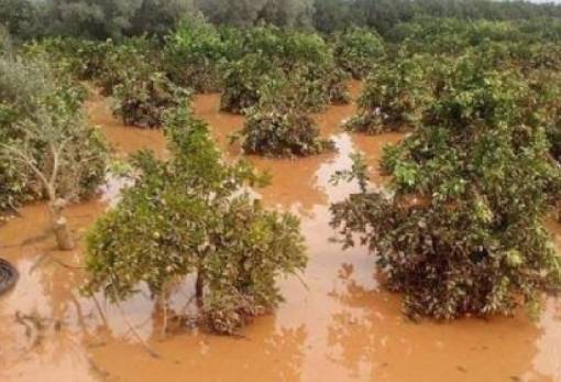 Αιτήσεις ενίσχυσης για τις ζημιές από τις πλημμύρες του 2023 στον Δ. Ευρώτα