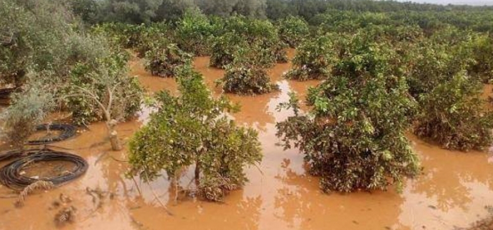 &Alpha;&iota;&tau;ή&sigma;&epsilon;&iota;&sigmaf; &epsilon;&nu;ί&sigma;&chi;&upsilon;&sigma;&eta;&sigmaf; &gamma;&iota;&alpha; &tau;&iota;&sigmaf; &zeta;&eta;&mu;&iota;έ&sigmaf; &alpha;&pi;ό &tau;&iota;&sigmaf; &pi;&lambda;&eta;&mu;&mu;ύ&rho;&epsilon;&sigmaf; &tau;&omicron;&upsilon; 2023 &sigma;&tau;&omicron;&nu; &Delta;. &Epsilon;&upsilon;&rho;ώ&tau;&alpha;