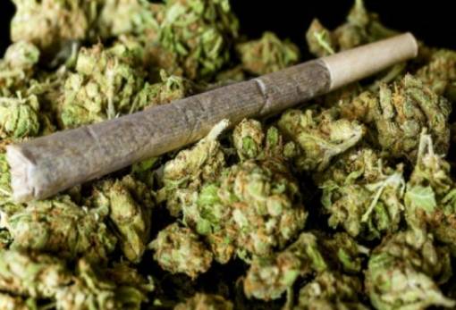 Τον συνέλαβαν στο σπίτι του με κάνναβη