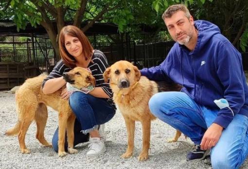 Τα καλά να λέγονται...