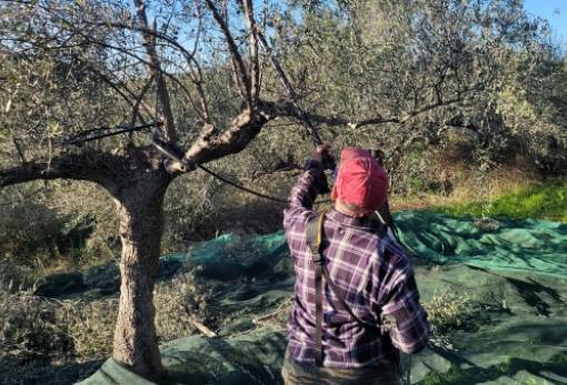 Οδηγός «επιβίωσης» για την Ενιαία Ενίσχυση