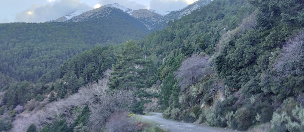 &Alpha;&nu;ά&beta;&alpha;&sigma;&eta; &sigma;&tau;&omicron;&nu; &Tau;&alpha;ΰ&gamma;&epsilon;&tau;&omicron;  &alpha;&pi;ό &tau;&omicron;&nu; &Epsilon;&Omicron;&Sigma; &Sigma;&pi;ά&rho;&tau;&eta;&sigmaf;