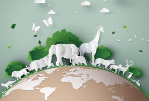 Κάθε περίπου 27 εκατ. χρόνια συμβαίνουν μαζικές εξαφανίσεις ζώων