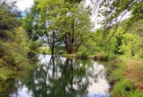 «Caryatides Trails»