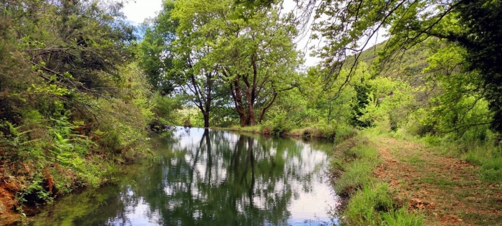 &laquo;Caryatides Trails&raquo;